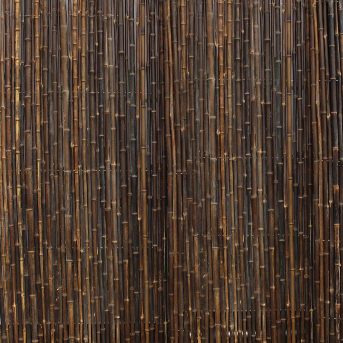 Gardenlux Bamboescherm 180x180cm Zwart